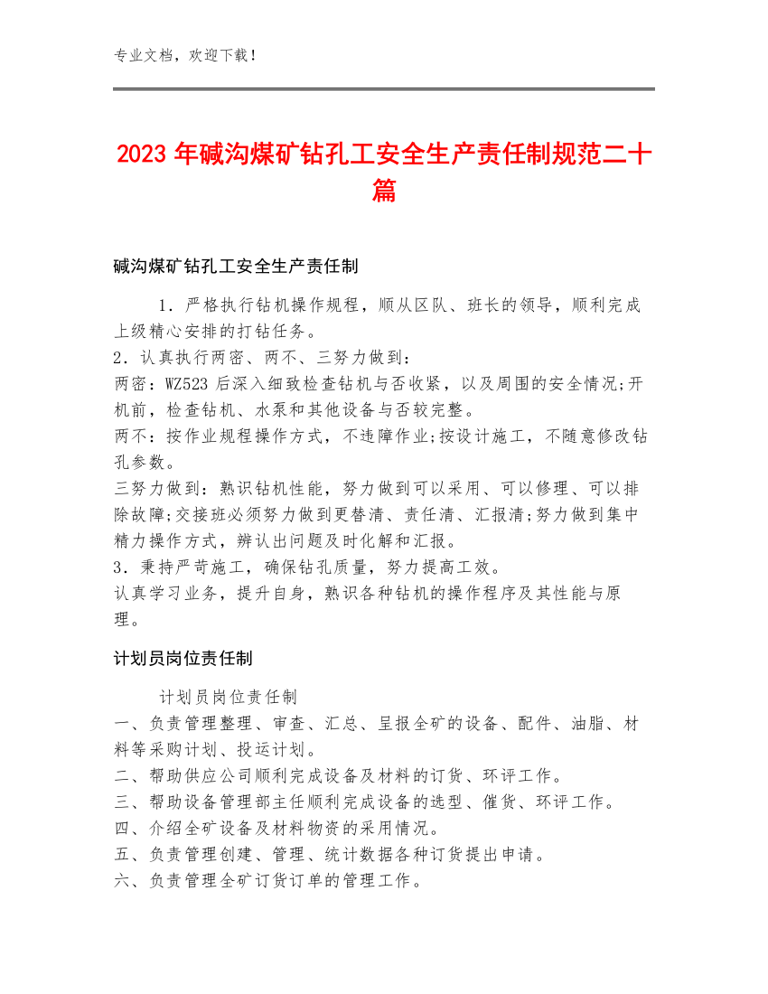 2023年碱沟煤矿钻孔工安全生产责任制规范二十篇