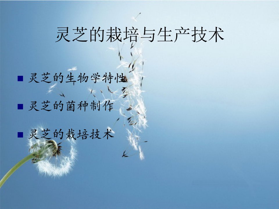 灵芝的栽培与生产课件