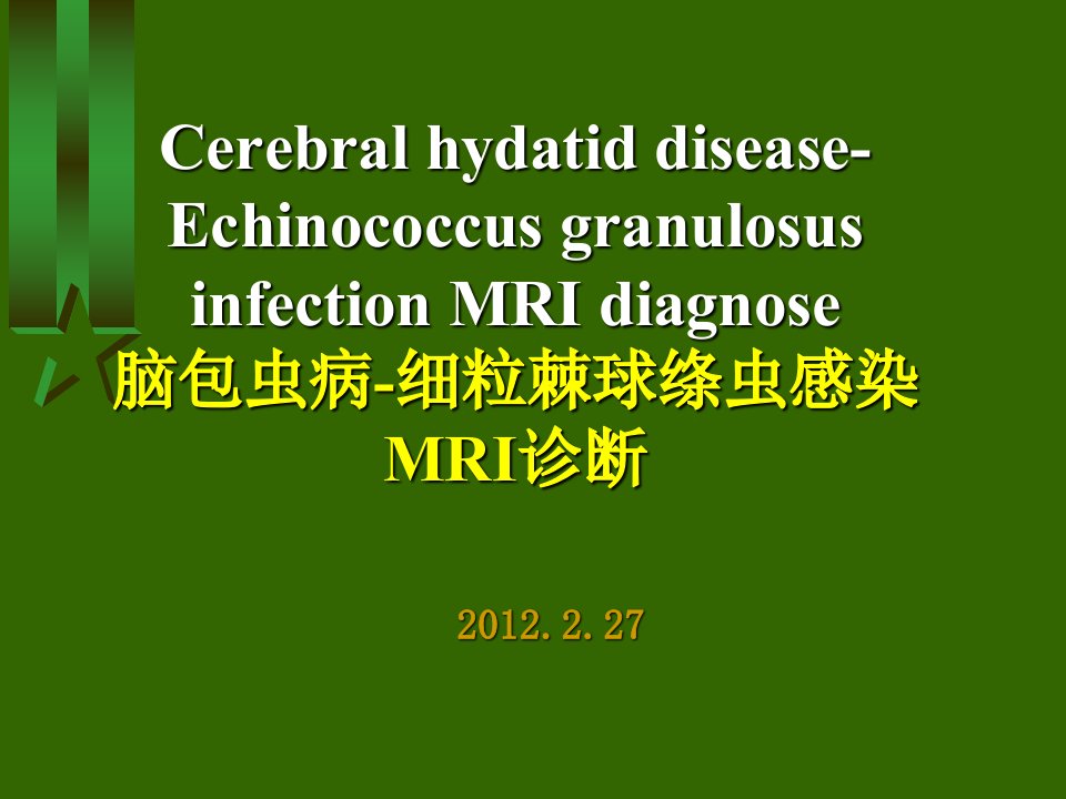 脑包虫病细粒棘球绦虫感染MRI诊断ppt课件