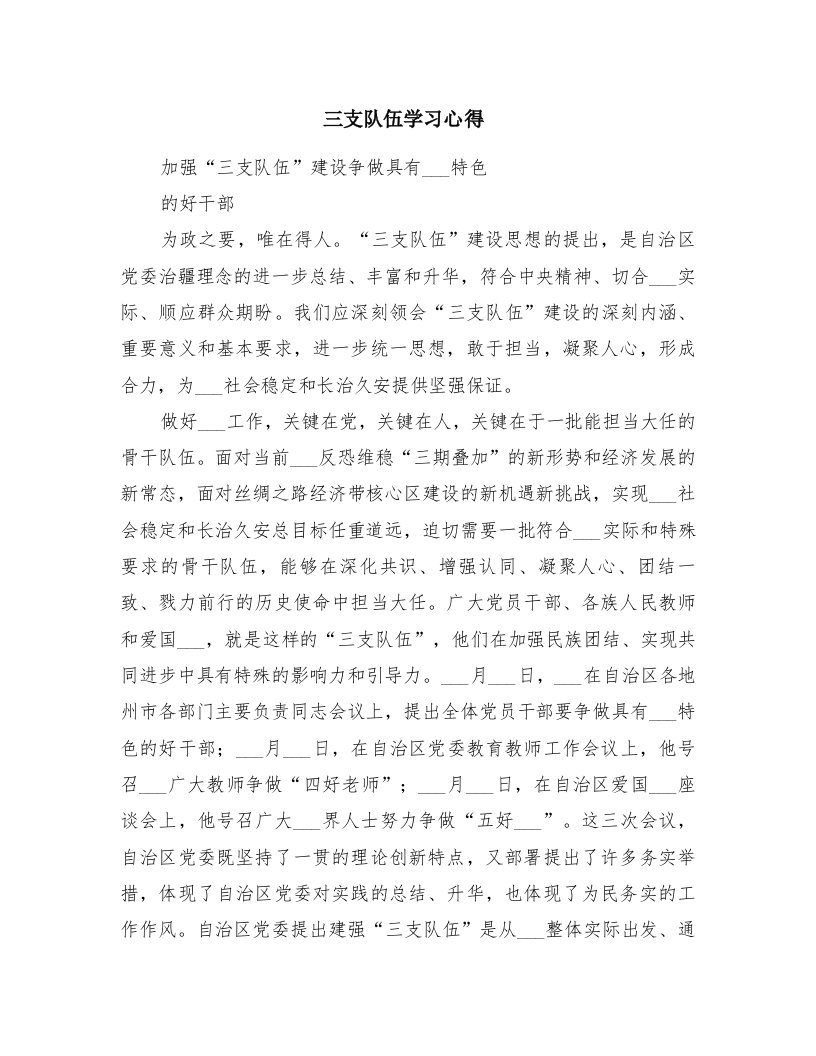 三支队伍学习心得