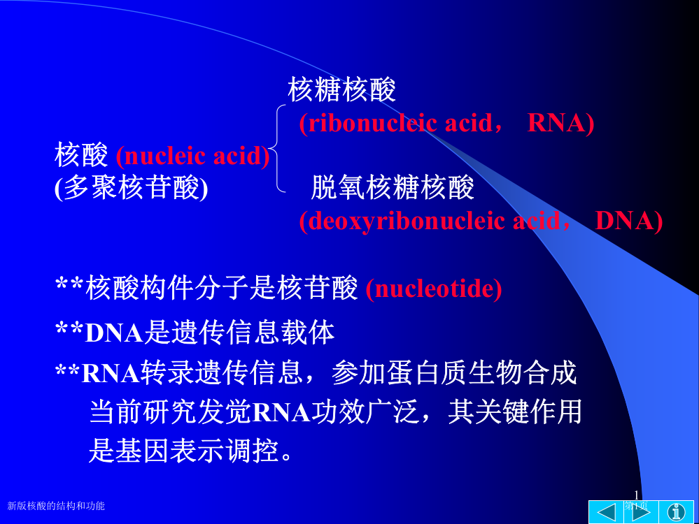 新版核酸的结构和功能