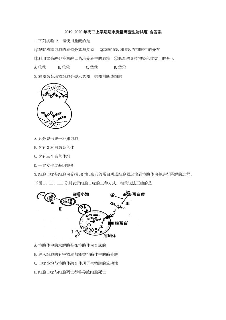 2019-2020年高三上学期期末质量调查生物试题