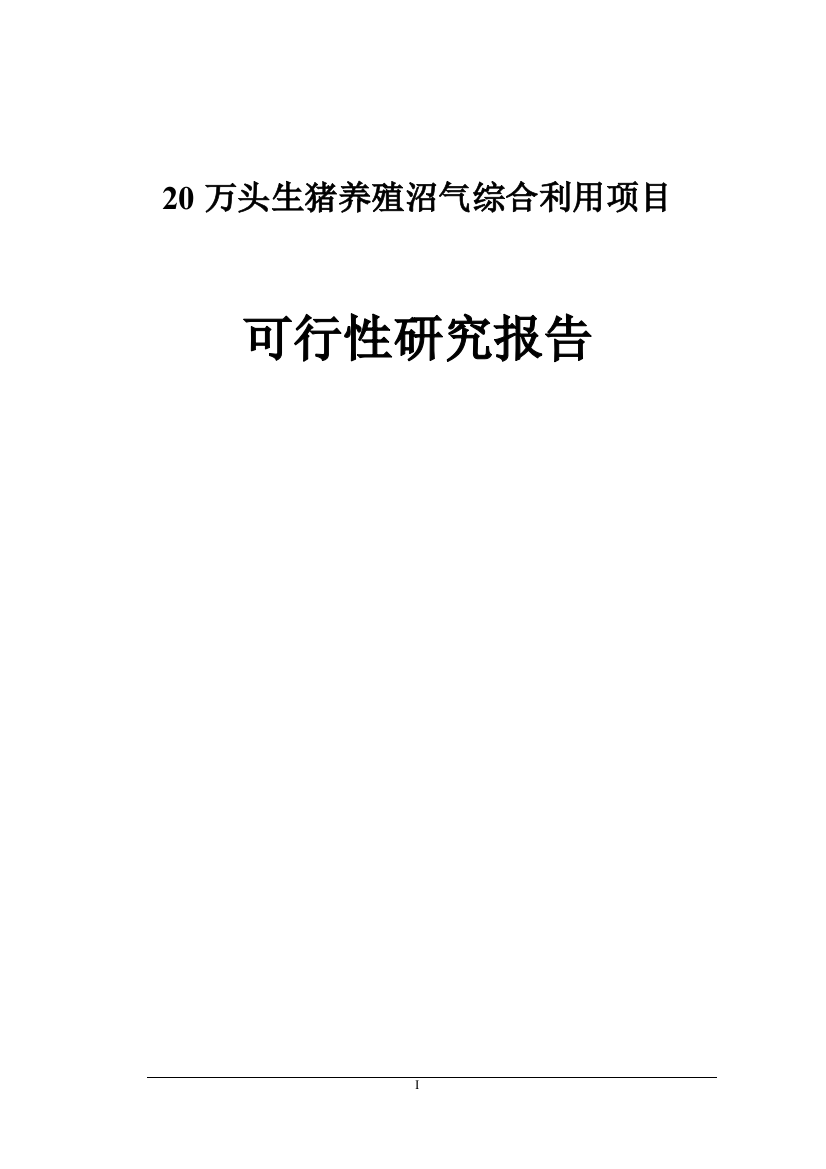 20万头生猪养殖沼气综合利用项目可行性论证报告