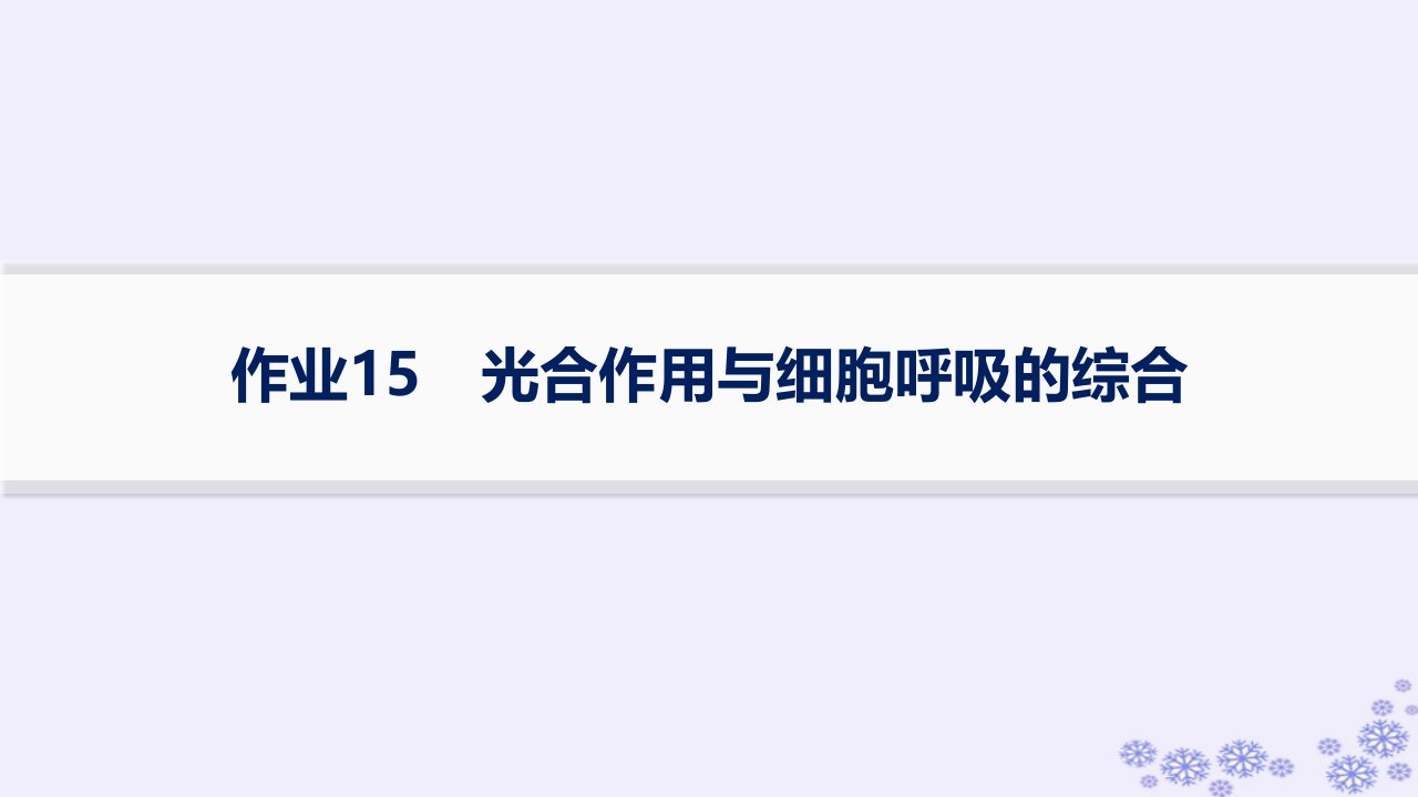 适用于新高考新教材浙江专版2025届高考生物一轮总复习第2单元细胞的代谢作业15光合作用与细胞呼吸的综合课件浙科版