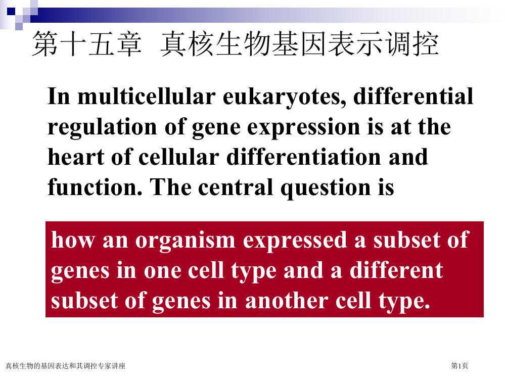 真核生物的基因表达和其调控专家讲座