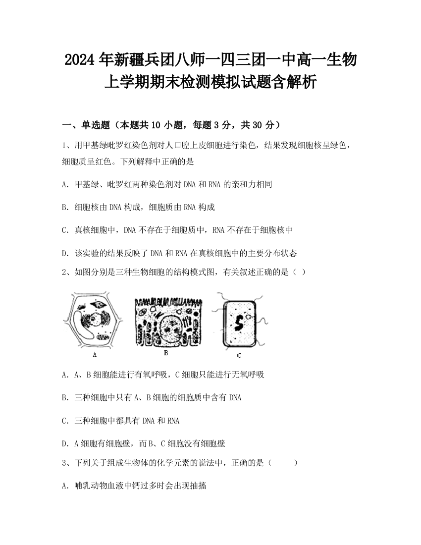 2024年新疆兵团八师一四三团一中高一生物上学期期末检测模拟试题含解析