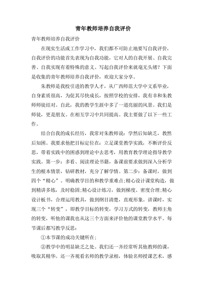 青年教师培养自我评价