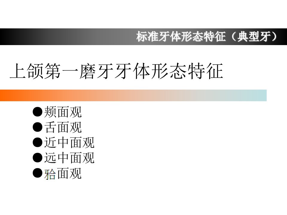 上颌第一磨牙牙体形态简述