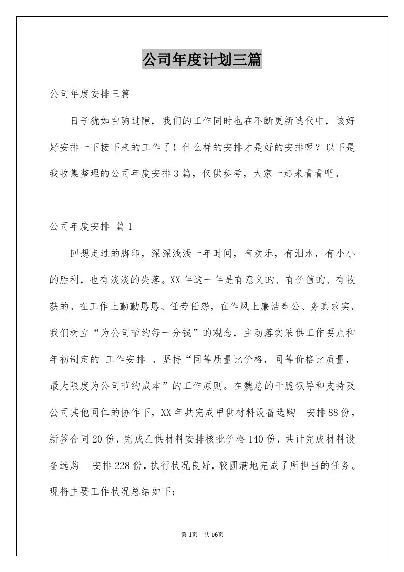 公司年度计划三篇优质