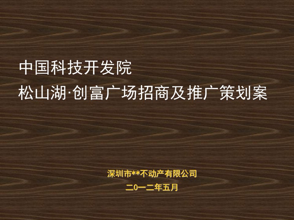 2012东莞松山湖创富广场项目招商及营销推广方案