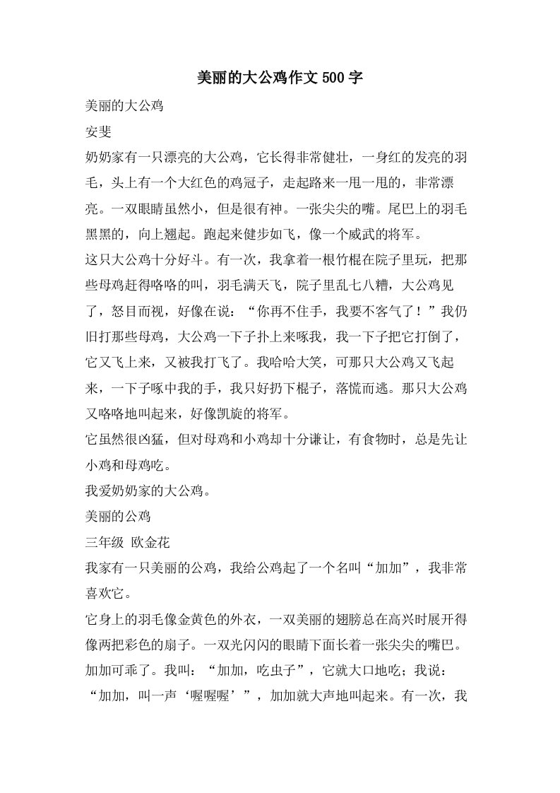 美丽的大公鸡作文500字