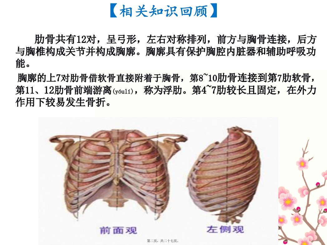 医学专题肋骨骨折教学查房