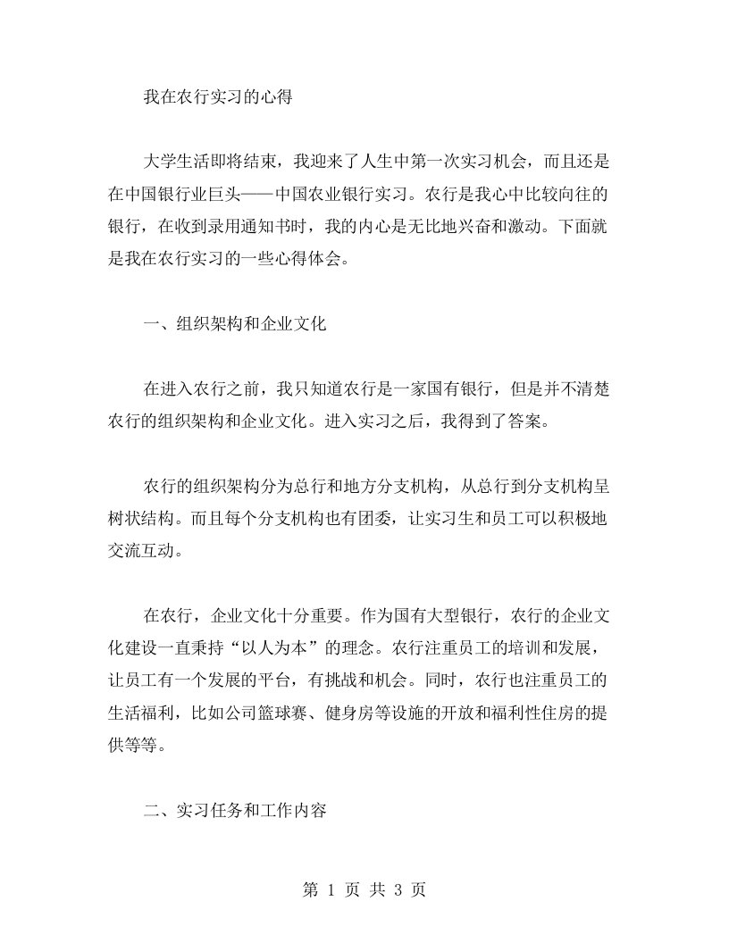 我在农行实习的心得