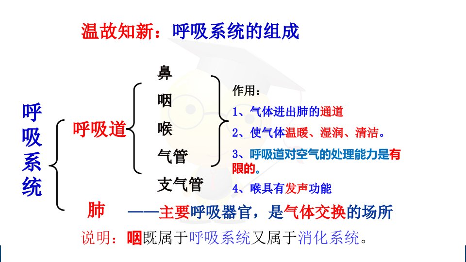 第二节发生在肺内的气体交换4