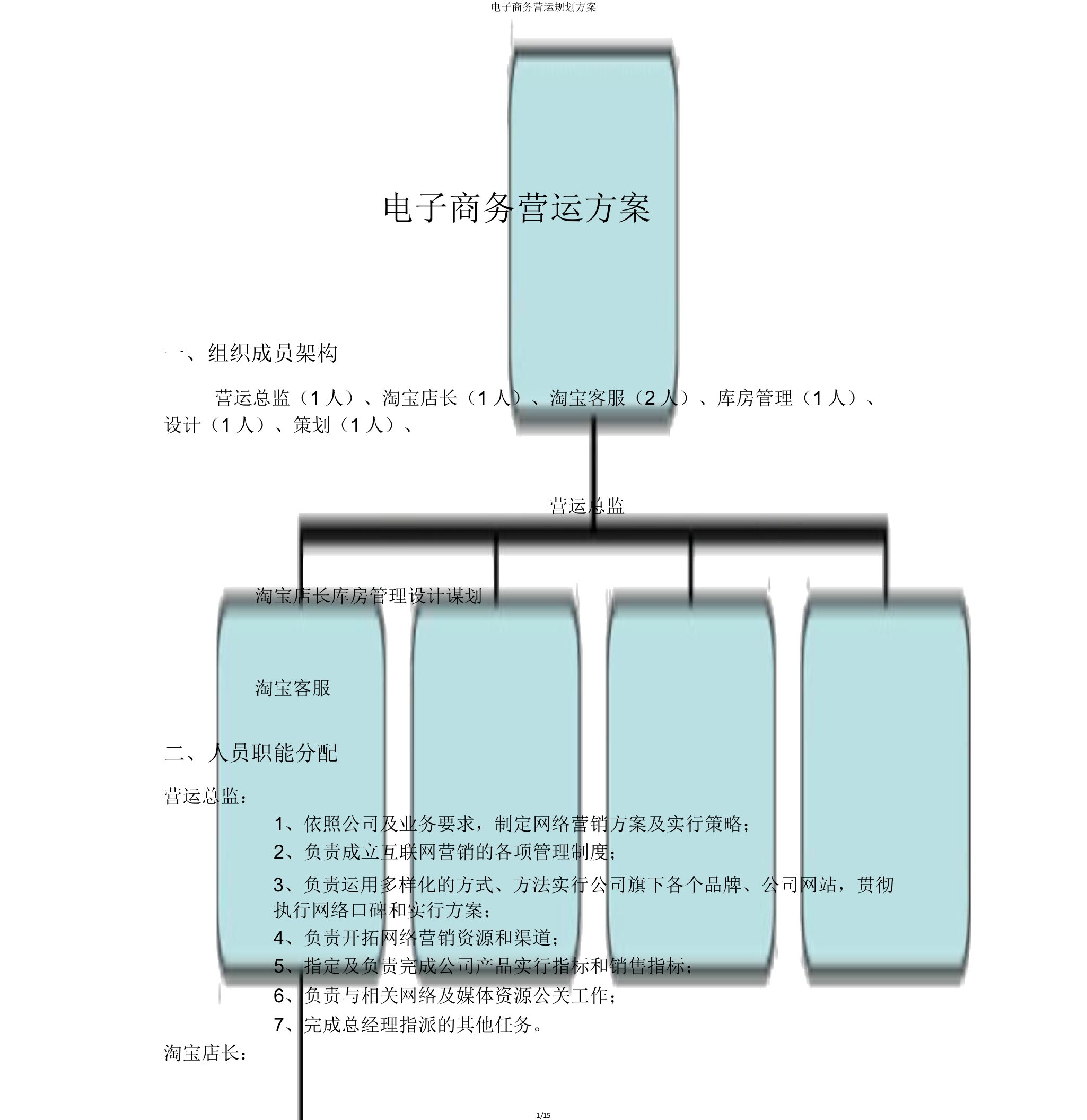 电子商务运营规划方案