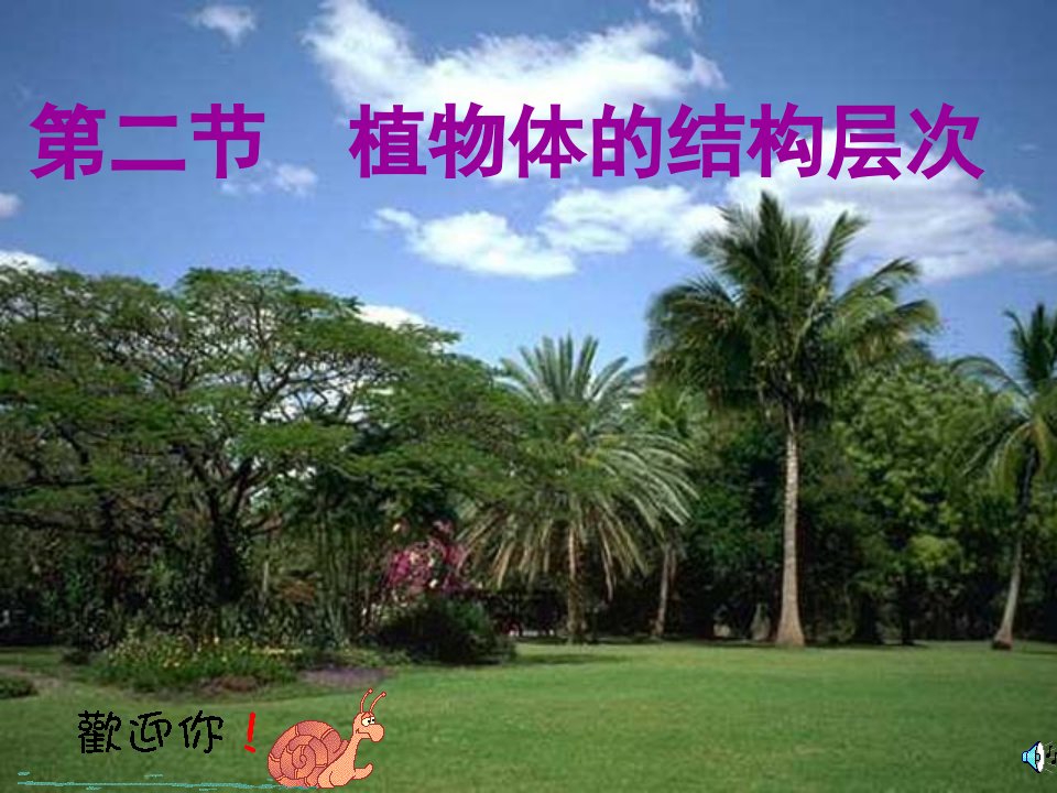 2_植物体的结构层次_公开课课件人教版