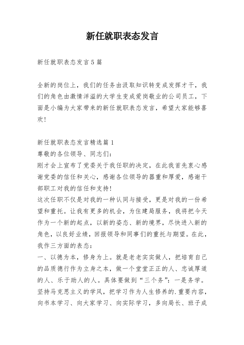 新任就职表态发言