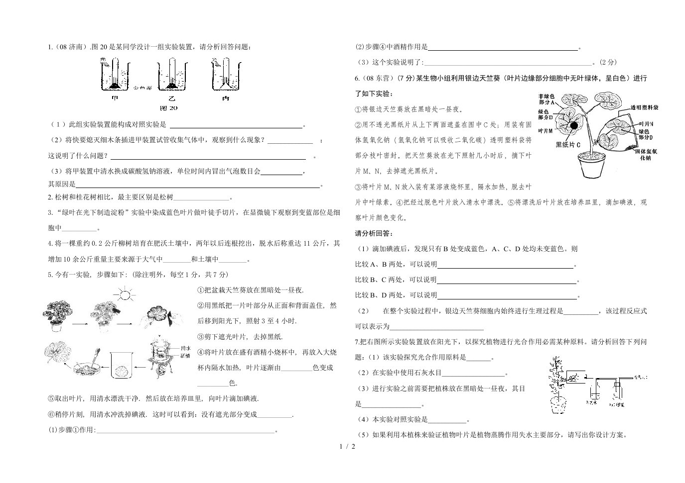 济南版初一生物绿色植物测试题