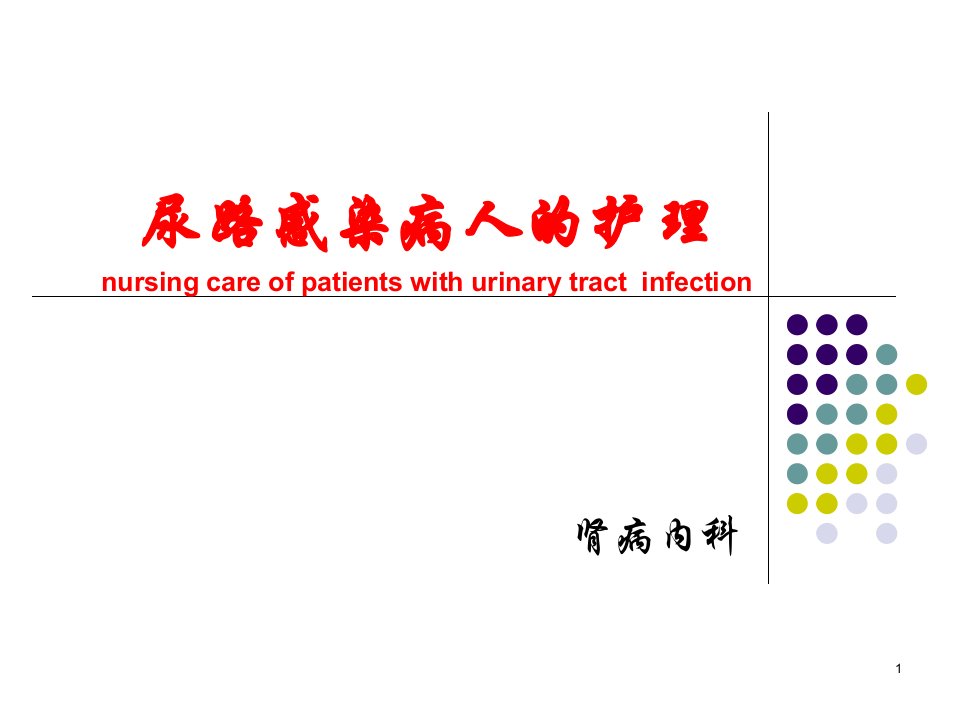 尿路感染病人的护理课件