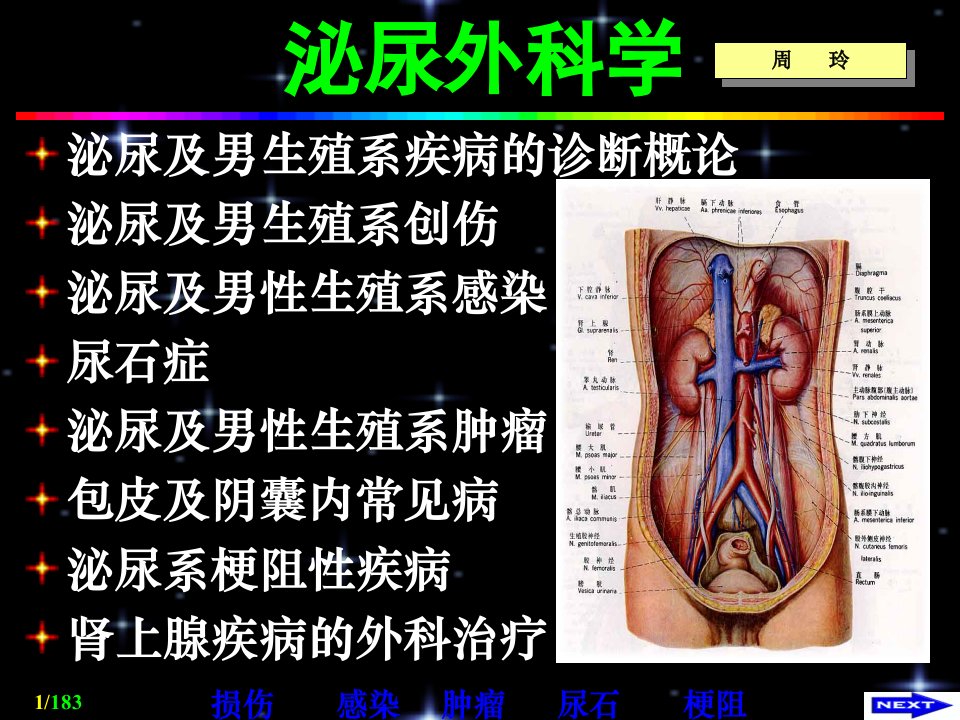 泌尿外科学讲义课件