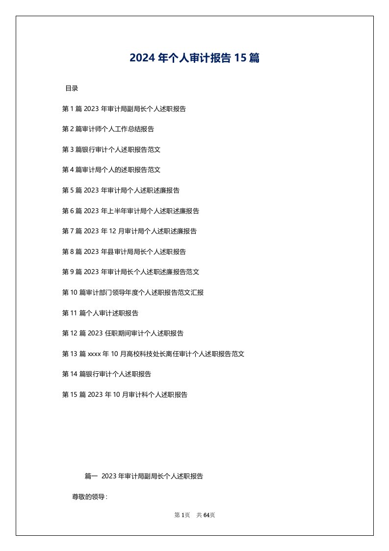 2024年个人审计报告15篇