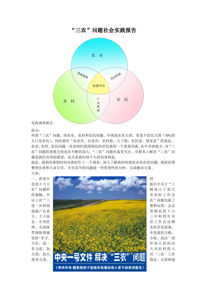 关于农村三农问题的社会实践报告