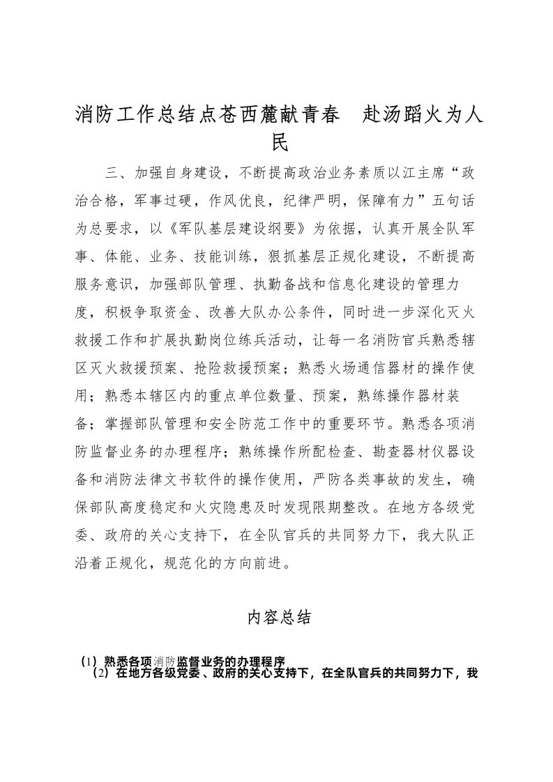 2022消防工作总结点苍西麓献青春　赴汤蹈火为人民