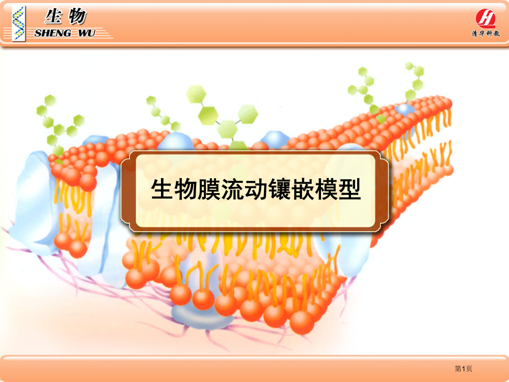 生物学必修生物膜的流动镶嵌模型省公共课一等奖全国赛课获奖课件