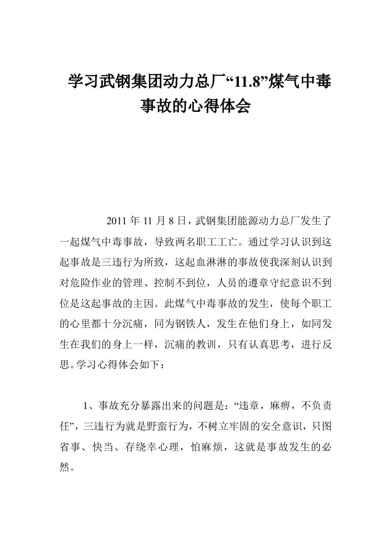 学习武钢集团动力总厂“11.8”煤气中毒事故的心得体会