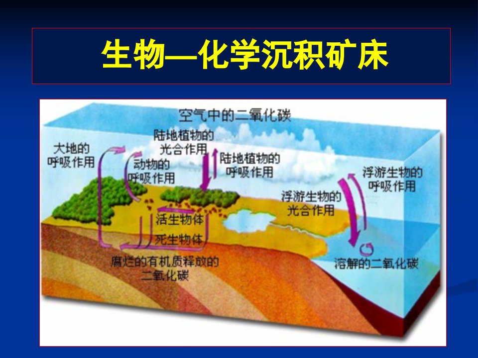 《生物化学沉积》PPT课件