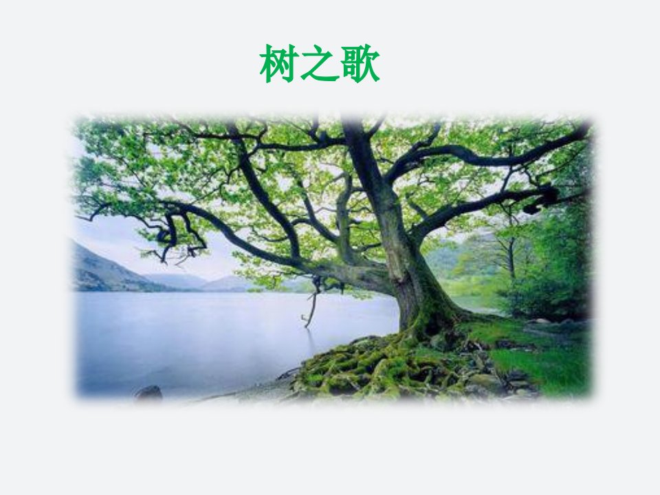 二上识字2《树之歌》（6页）