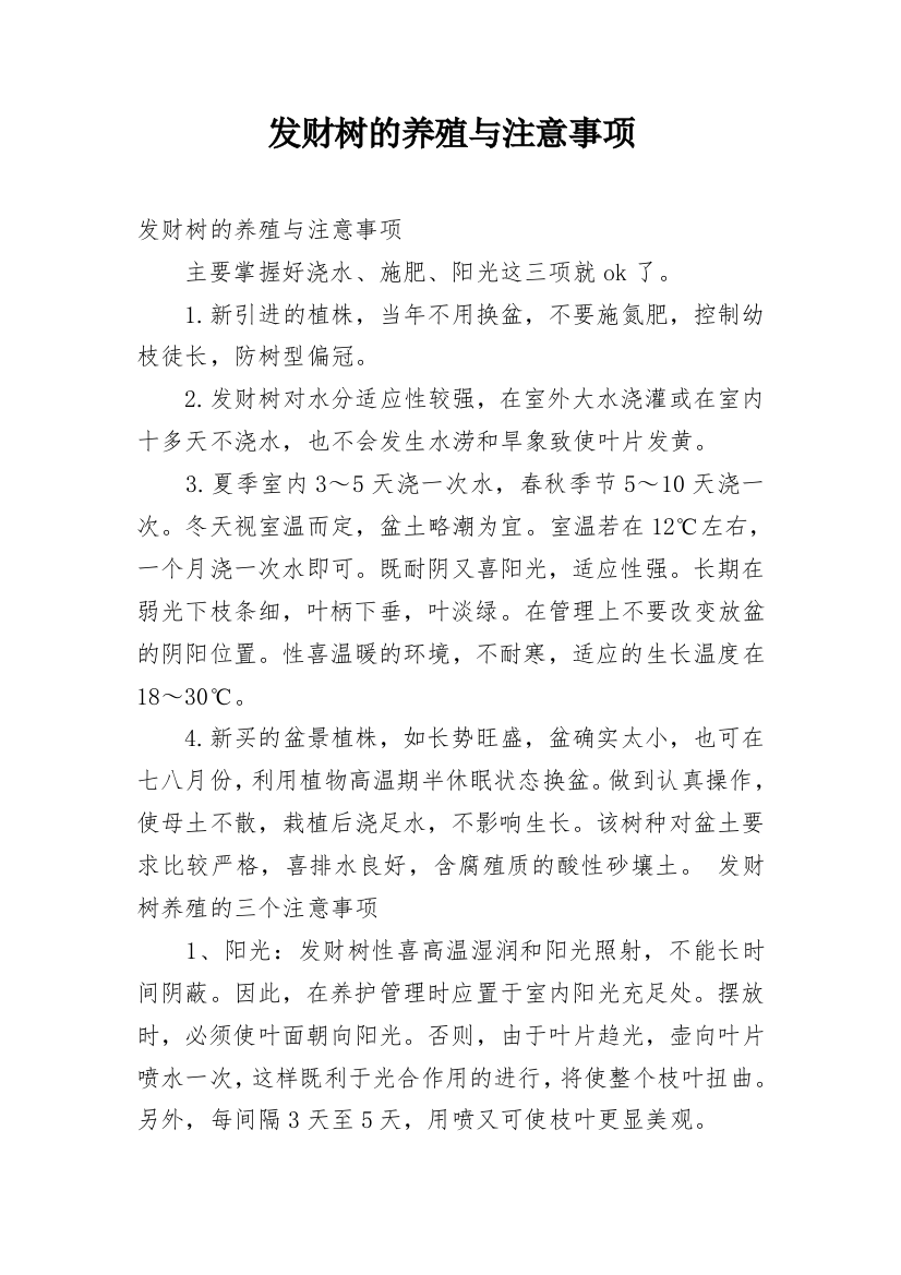 发财树的养殖与注意事项