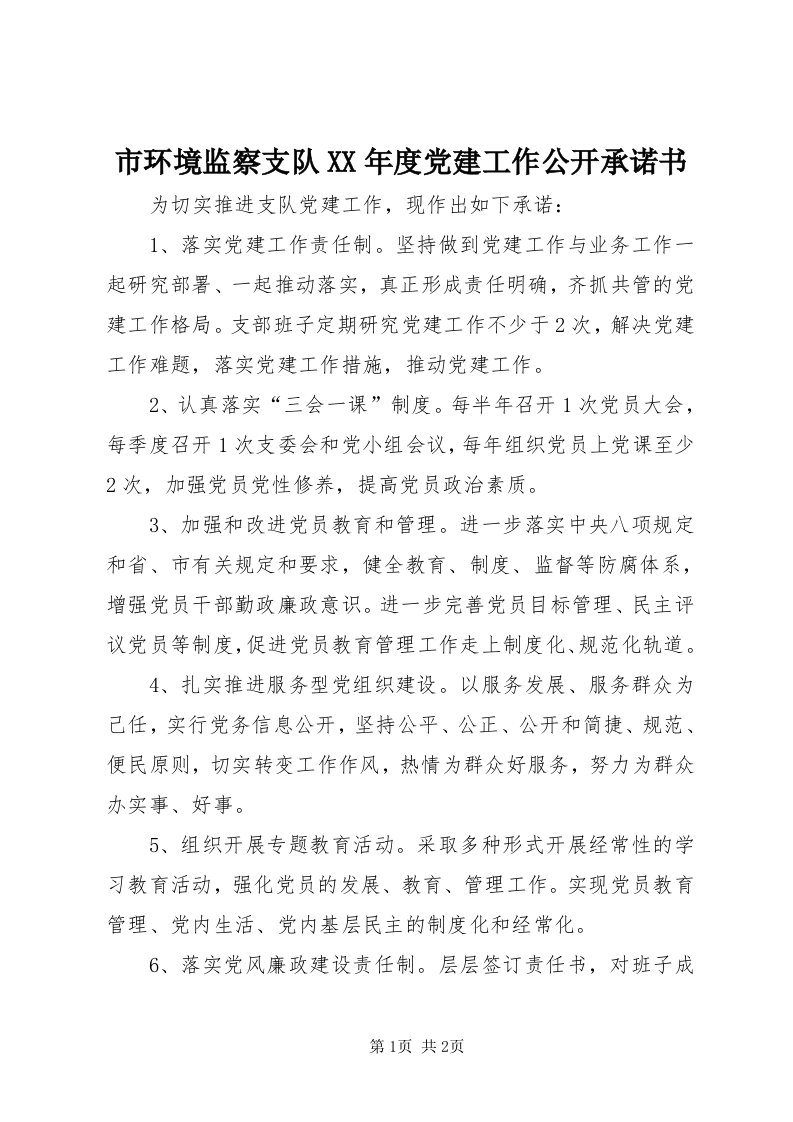 5市环境监察支队某年度党建工作公开承诺书