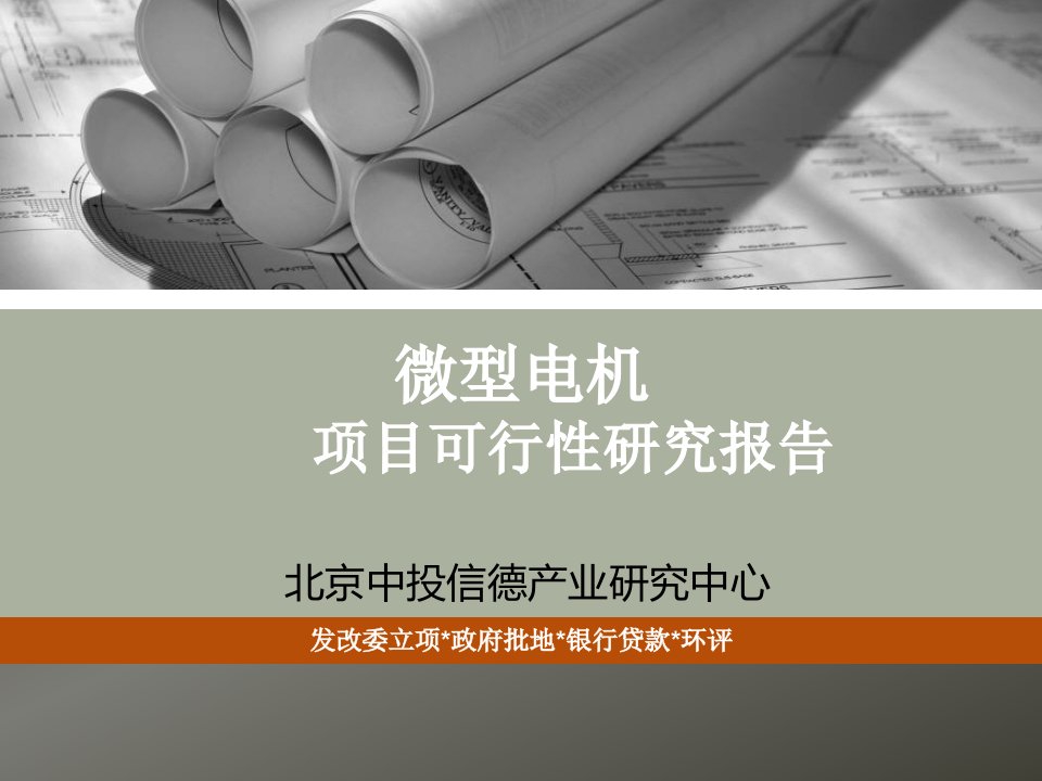 微型电机项目可行性研究报告