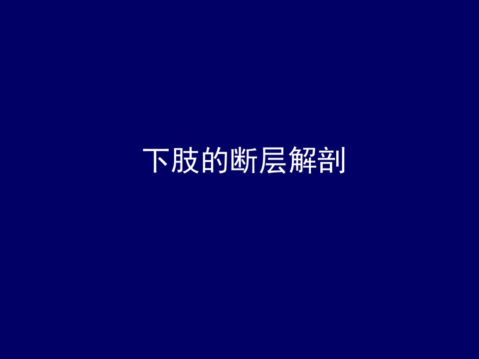 下肢的断层解剖-人体断层解剖学-课件