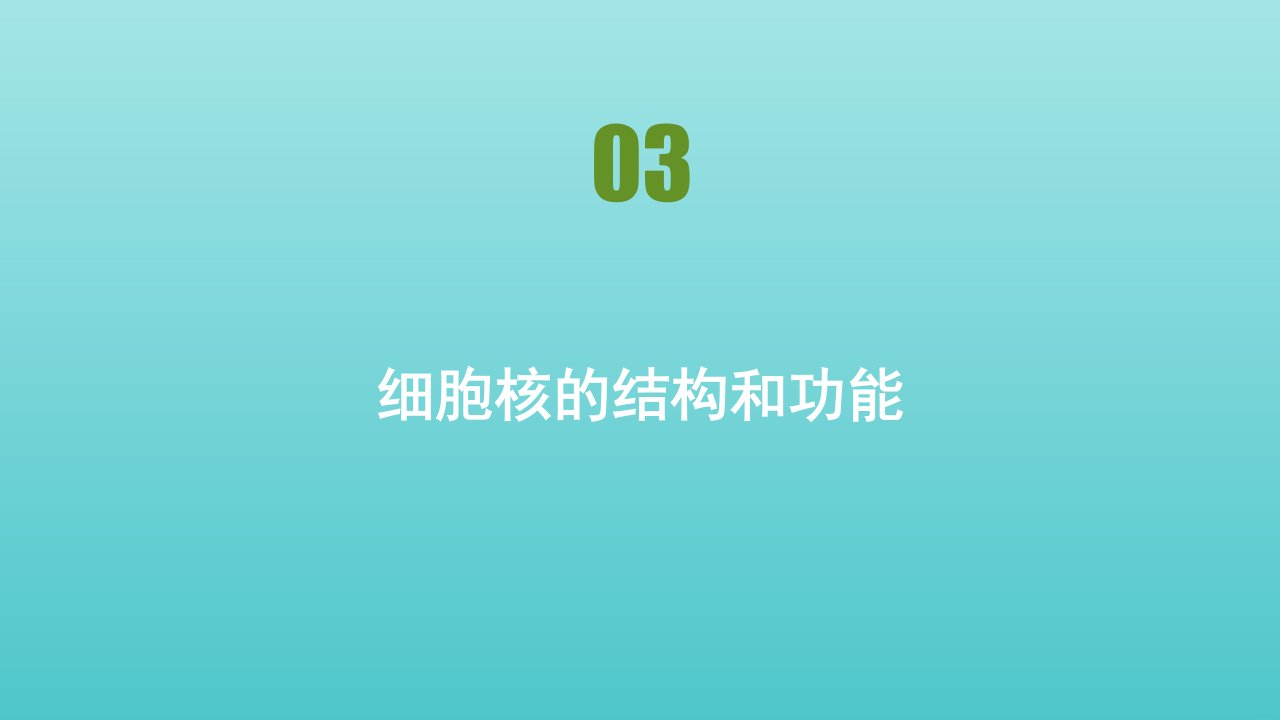 新教材高中生物第3章细胞的基本结构第3节细胞核的结构和功能课件新人教版必修1