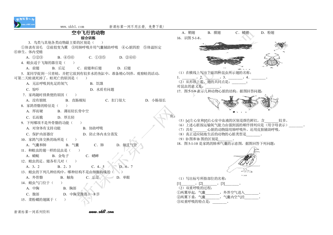 【小学中学教育精选】空中飞行的动物