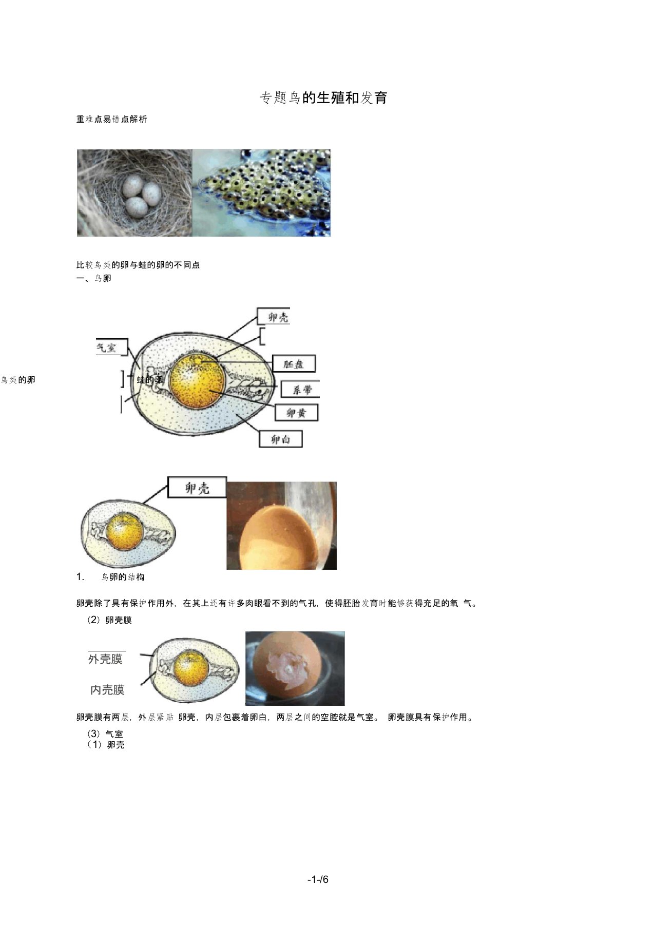 八年级生物下册第七单元第一章第四节鸟的生殖和发育讲义人教版