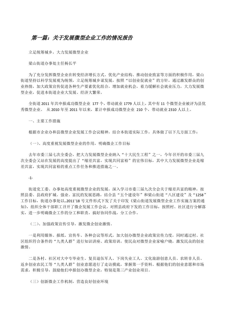 关于发展微型企业工作的情况报告[修改版]