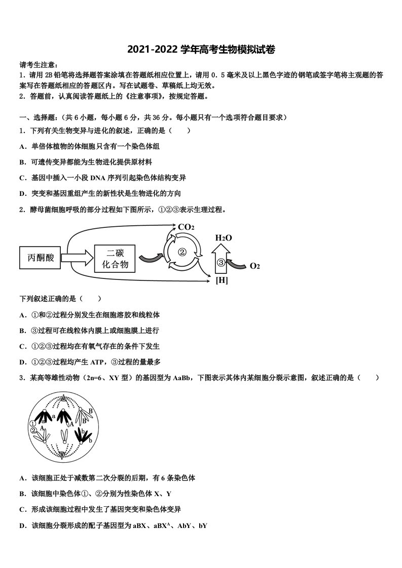 吉林省通榆县一中2021-2022学年高三一诊考试生物试卷含解析