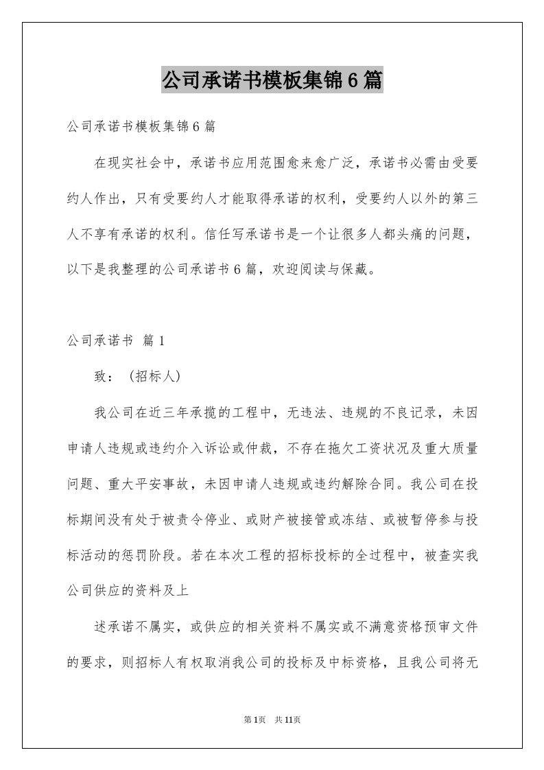 公司承诺书模板集锦6篇例文