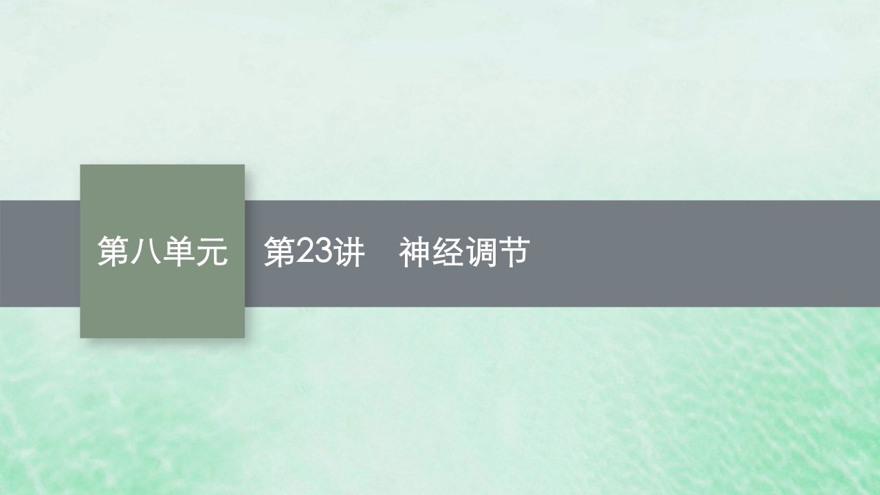 适用于老高考旧教材2024版高考生物一轮总复习第八单元生命活动的调节第23讲神经调节课件新人教版