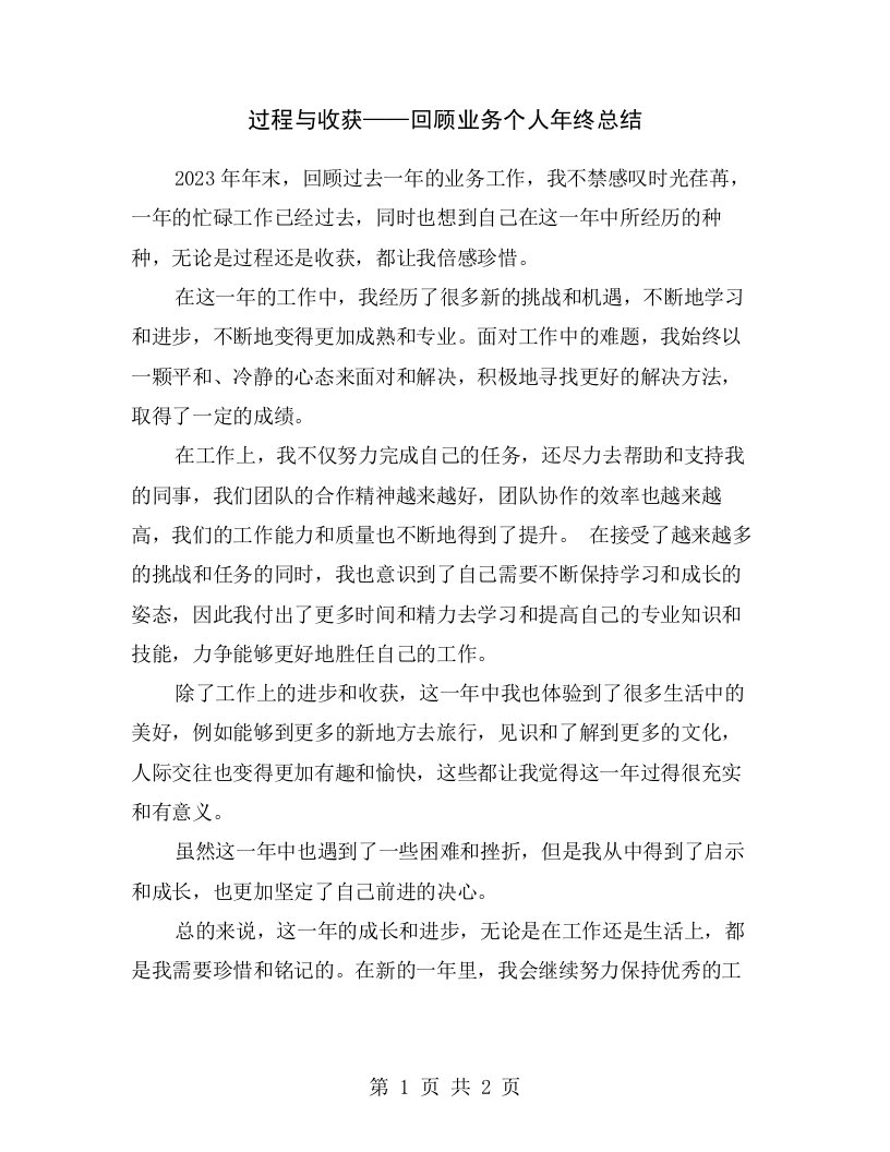 过程与收获——回顾业务个人年终总结