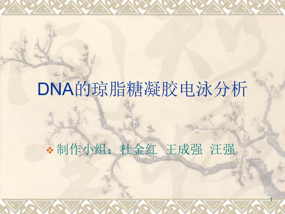 DNA的琼脂糖凝胶电泳分析ppt课件