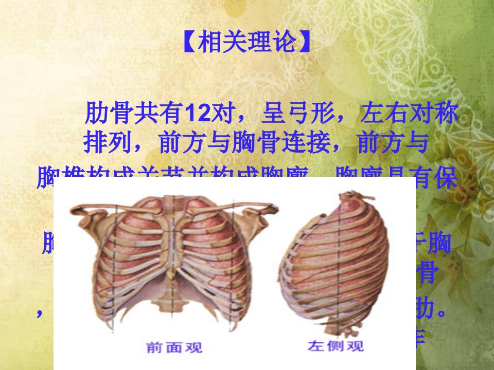 肋骨骨折查房修改本课件