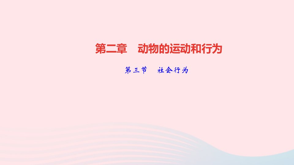 八年级生物上册第五单元生物圈中的其他生物第二章动物的运动和行为第三节社会行为作业课件新版新人教版