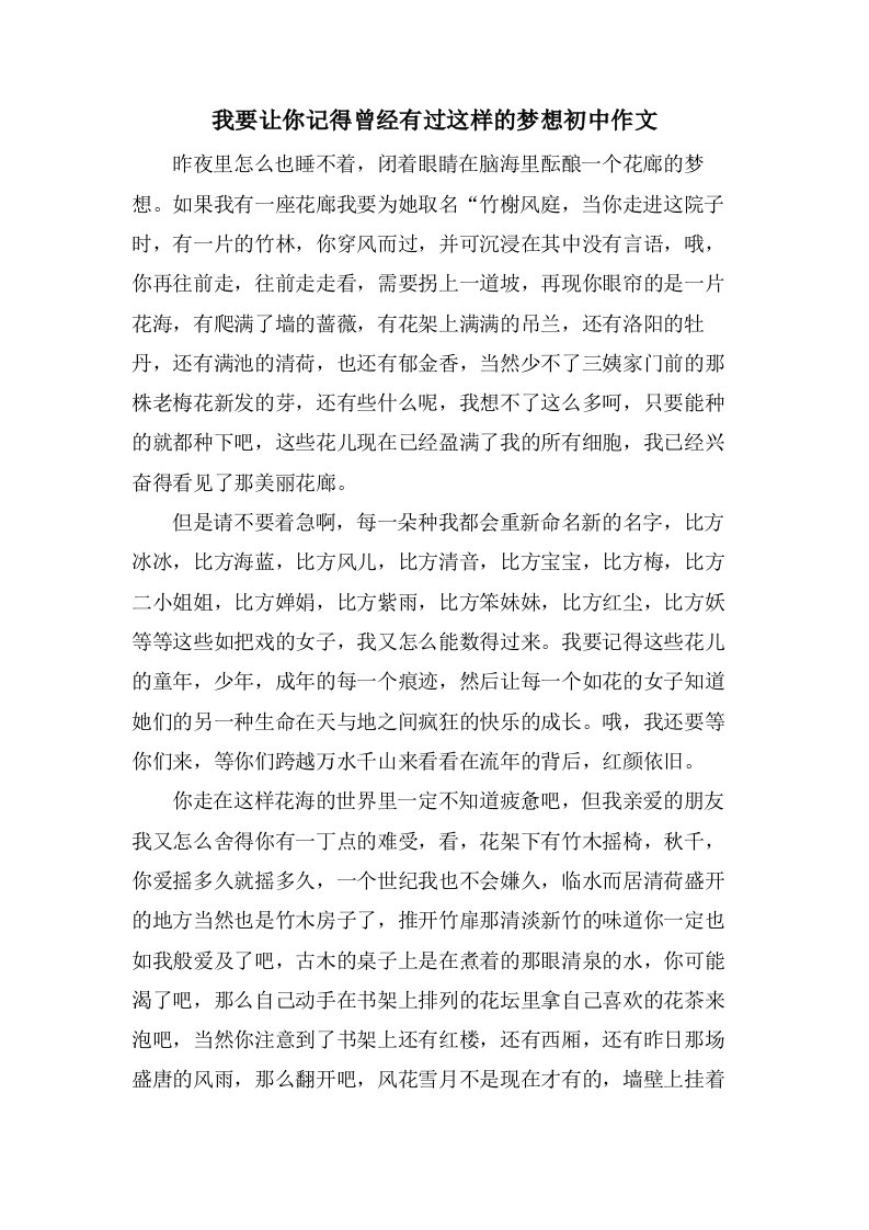 我要让你记得曾经有过这样的梦想初中作文