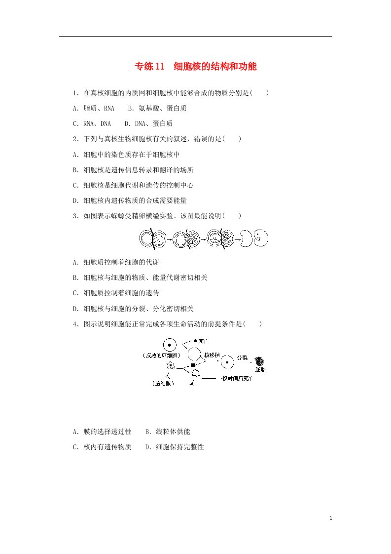 2023版新教材高考生物微专题小练习专练11细胞核的结构和功能