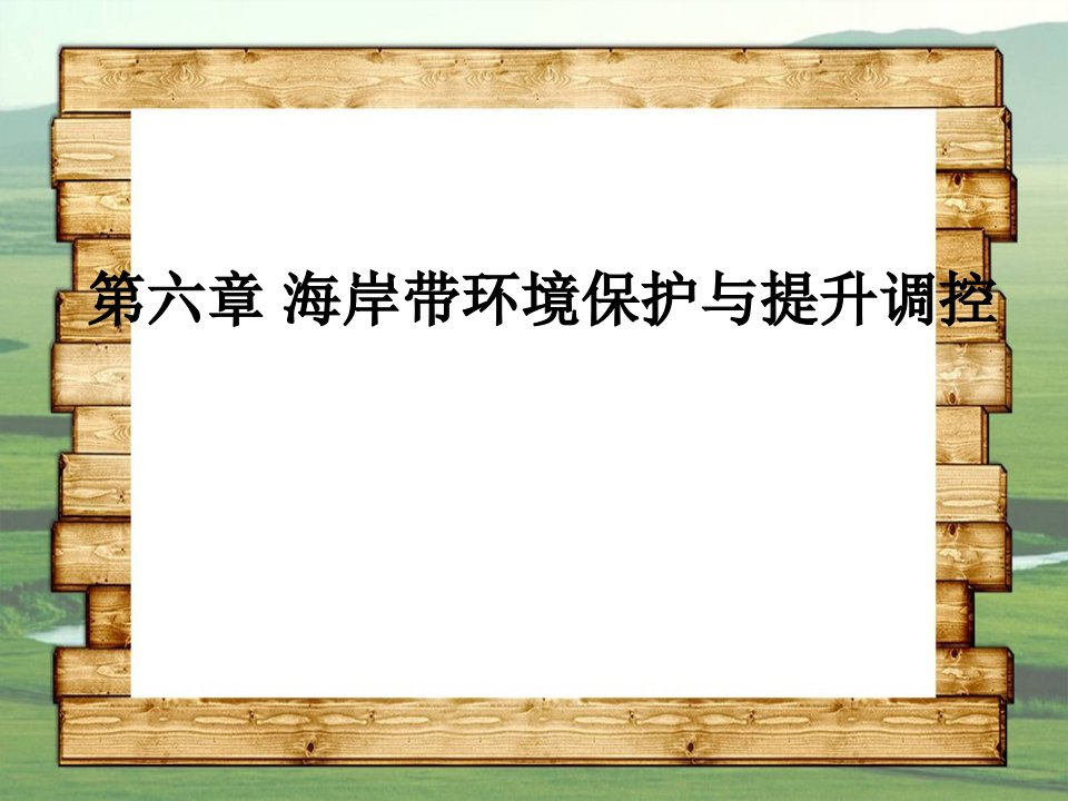 海岸带环境保护与提升调控