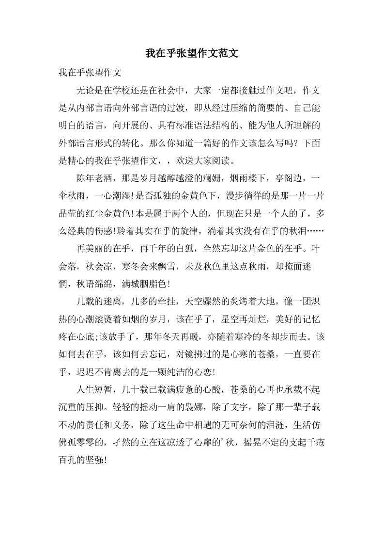 我在乎张望作文范文